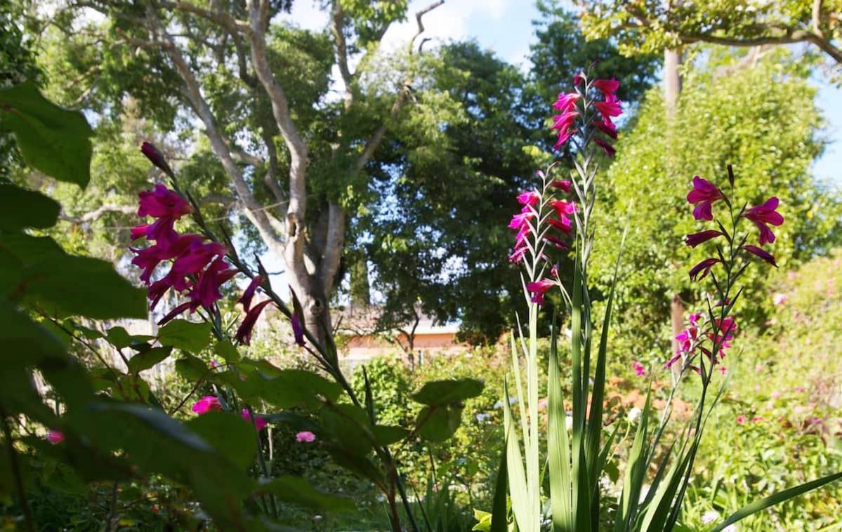 Garden House In Corfu Villa Corfu  Exterior foto